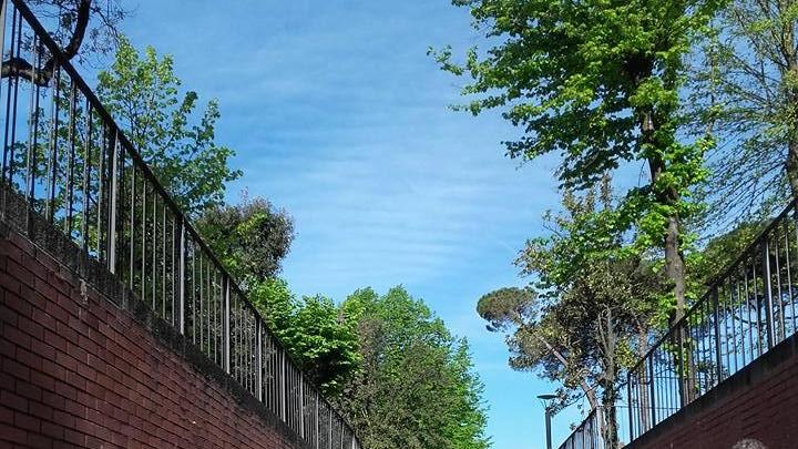 L'auto nel sottopasso (Foto da "Sei lucchese se...")