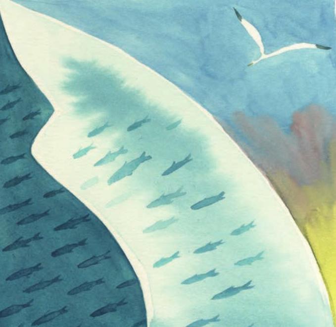 «Disegno il mistero della vita, un leggero suono di onde» 