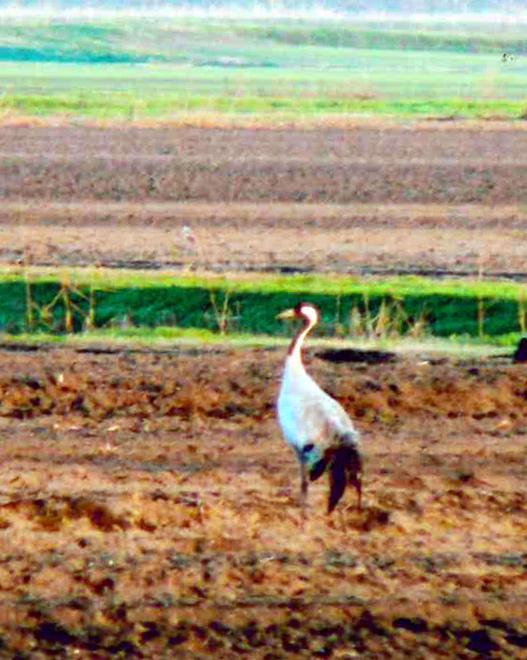 Visitare le Valli accompagnati dalla guida