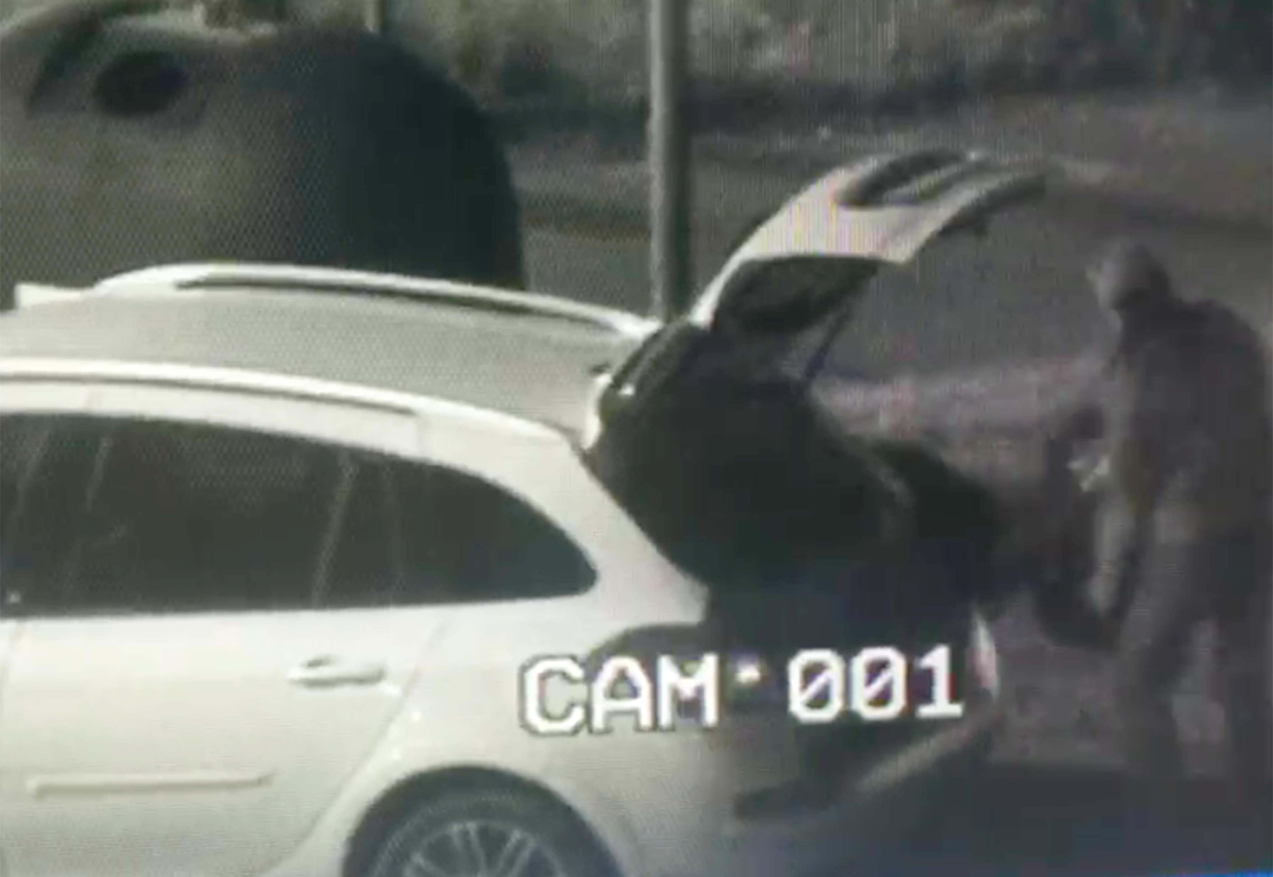 Un fotogramma del video postato dal sindaco Millozzi su Facebook (Foto Franco Silvi)