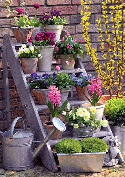 ViviVerdeSanJacopo, via al concorso per un quartiere in fiore