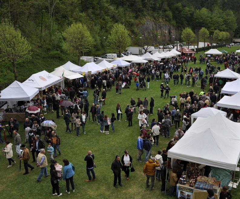 Gli stand di Enolia in occasione di una edizione del passato