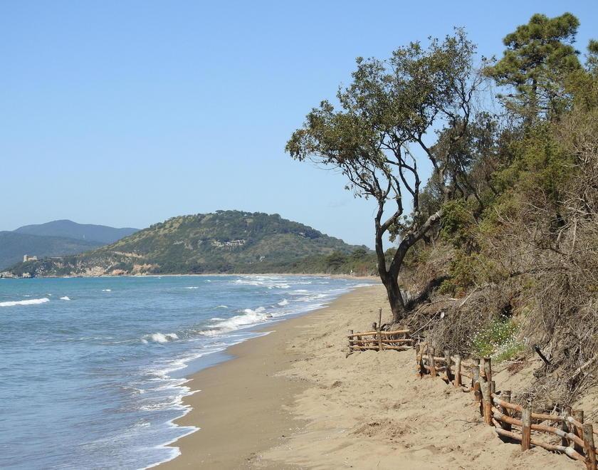 Gli imprenditori fanno rinascere la costa 