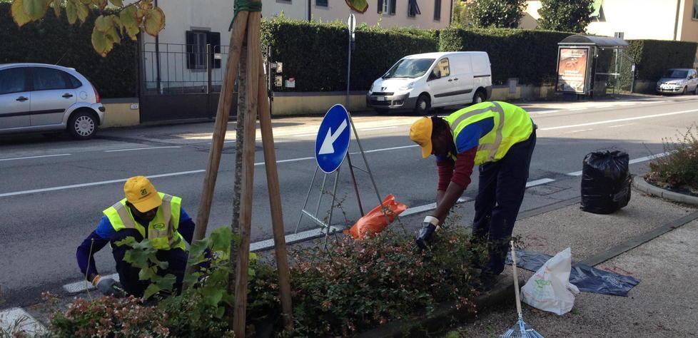 Richiedenti asilo a scuola di giardinaggio 