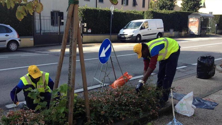 Richiedenti asilo a scuola di giardinaggio