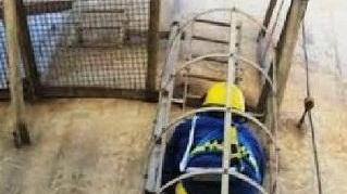 Sulla ciminiera per difendere il lavoro