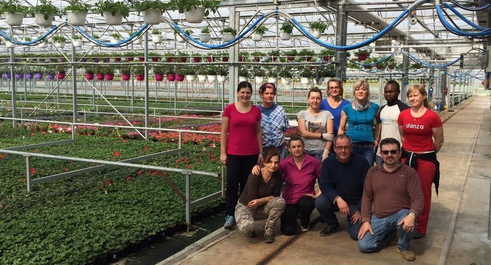 Floricoltura ferrarese con un occhio all’ambiente 