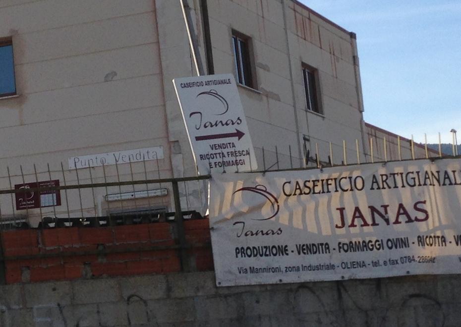 Oliena, insetti e larve su formaggio e latte: sigilli a un caseificio 