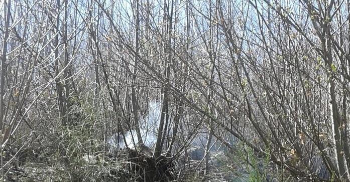 In fumo ettari di macchia Interviene anche l’elicottero
