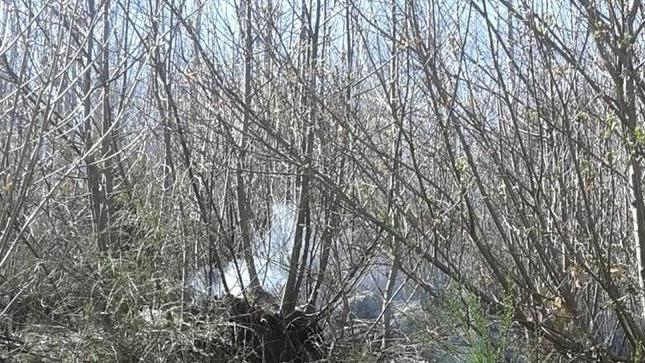 In fumo ettari di macchia Interviene anche l’elicottero
