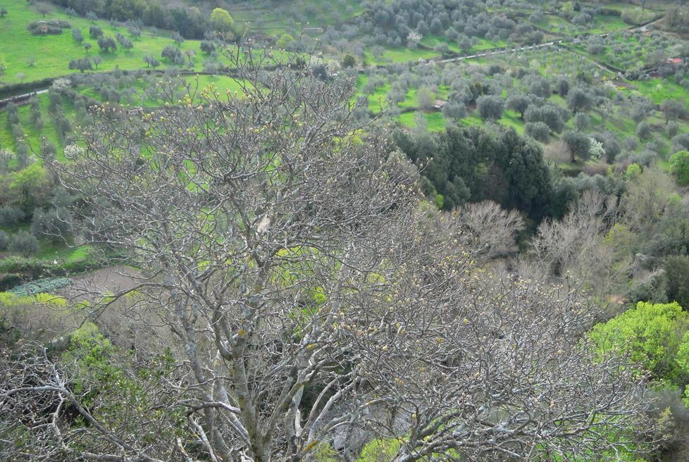 Altre tre aziende colpite La disperazione dei titolari