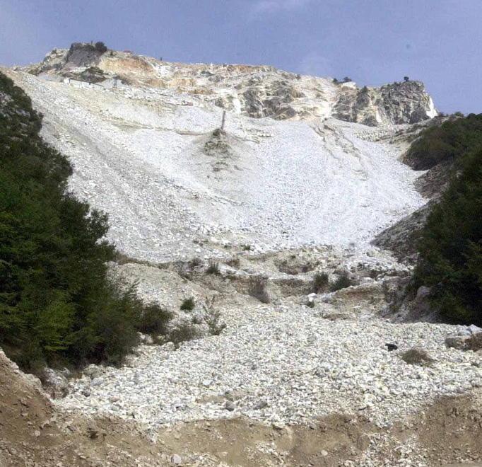 Un esposto dell’associazione Oro Bianco