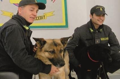 Droga negli slip 17enne arrestato 