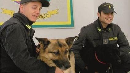 Droga negli slip 17enne arrestato