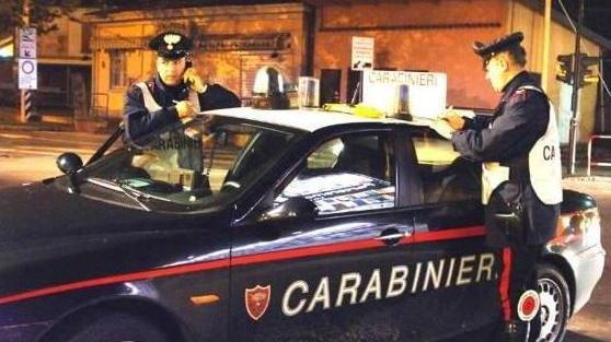 Sorpreso in auto con vino e olio rubati, giovane arrestato