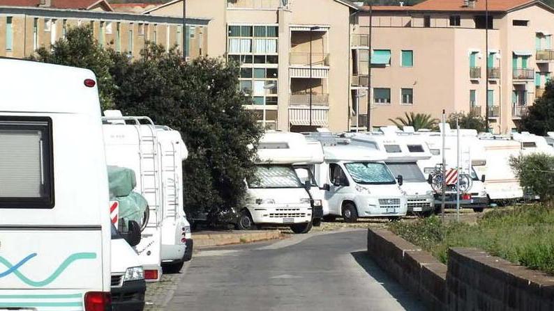 «Morso da una vipera davanti a casa»