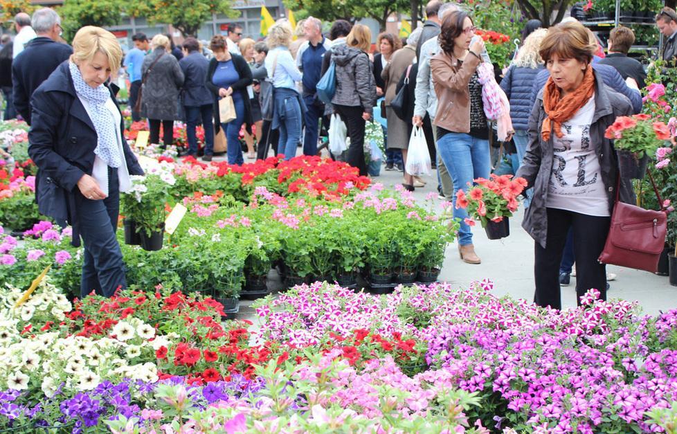 In centro i profumi della primavera