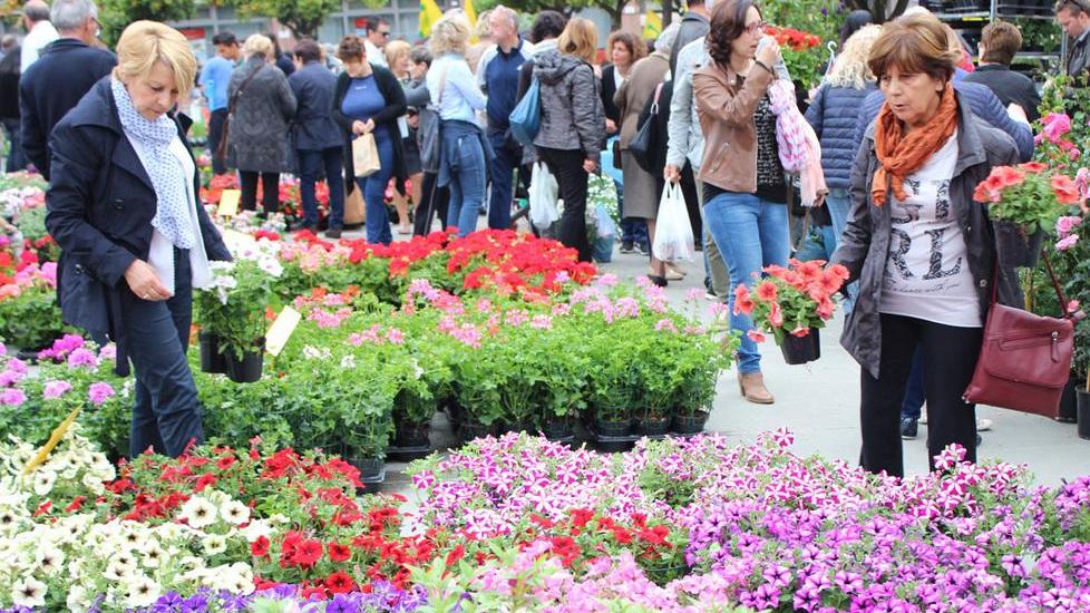 In centro i profumi della primavera