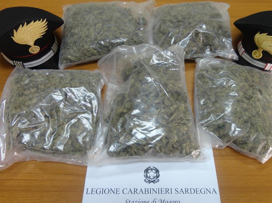 In campagna oltre un chilo di marijuana 