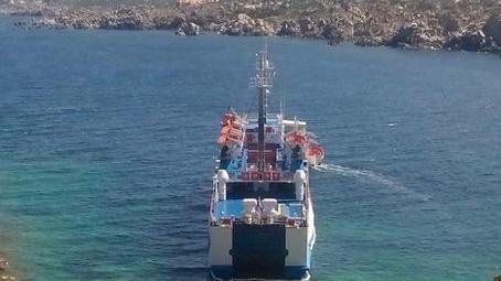 Moby sugli scogli, volontari in prima linea