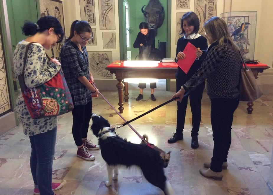 “Musei a 4 zampe”: visitare le collezioni con il proprio cane 