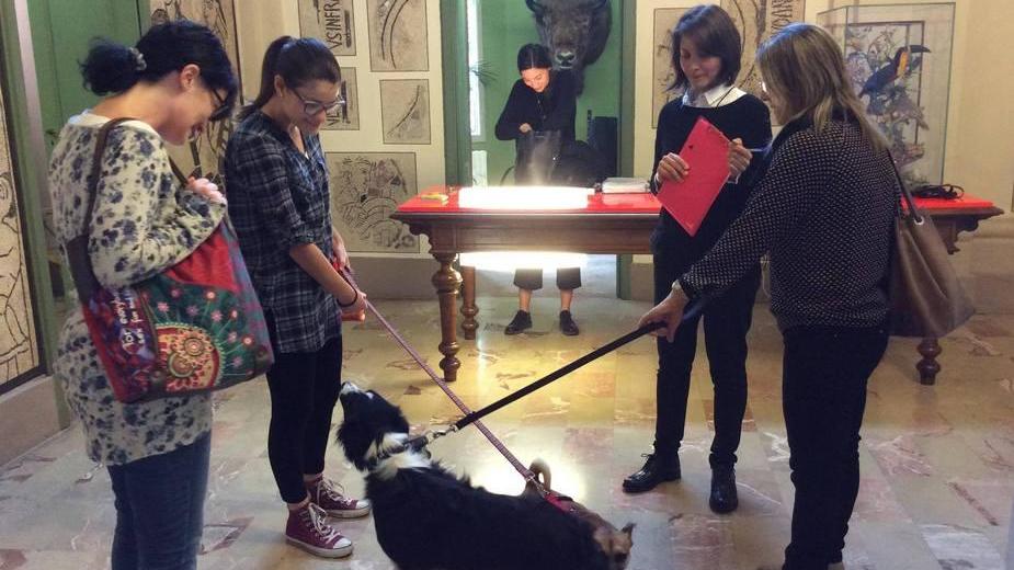 “Musei a 4 zampe”: visitare le collezioni con il proprio cane