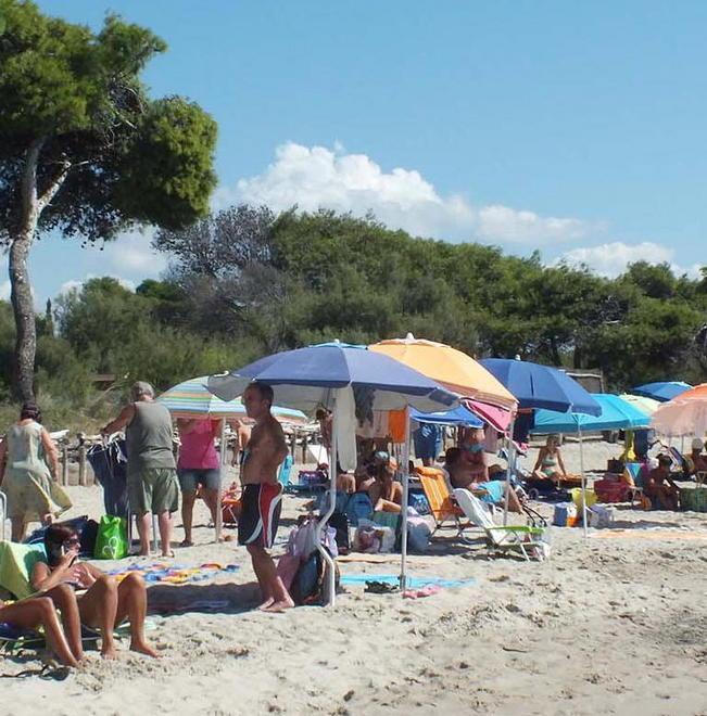 Ecco il servizio di consulenza per la direttiva Bolkestein
