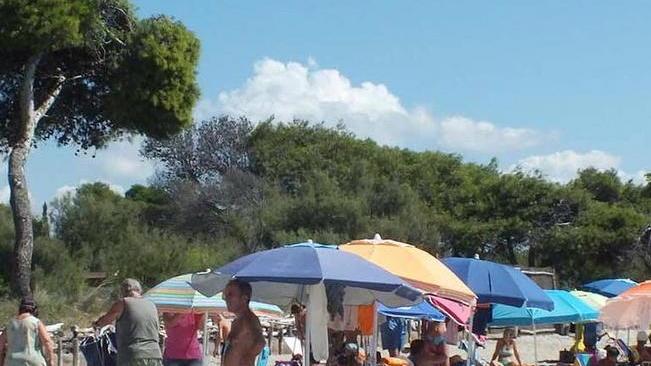 Ecco il servizio di consulenza per la direttiva Bolkestein