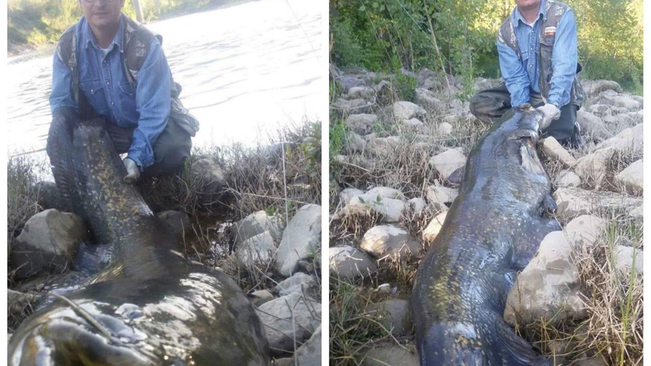 Riccardo Lombardi insieme al pesce siluro appena pescato