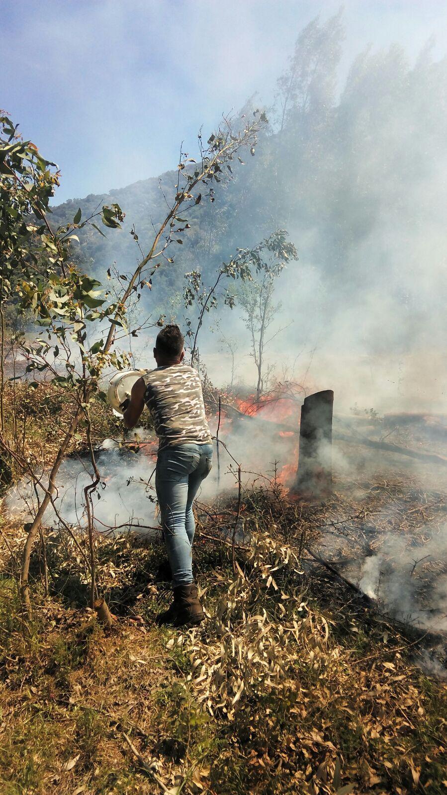 Gonnosfanadiga, allevatore brucia l'erba in un terreno e s'incendia il bosco 