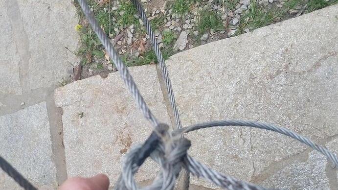 Cane ferito con un laccio d’acciaio Era una trappola dei bracconieri