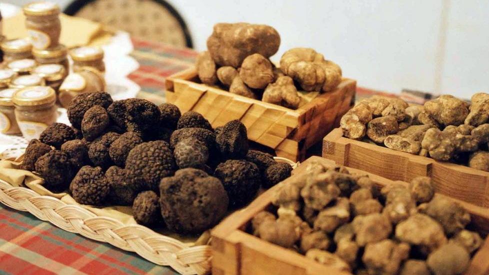 Tartufi, Iva al 20% e via l’anonimato