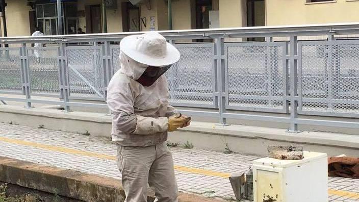 Sciame d’api alla stazione ferroviaria