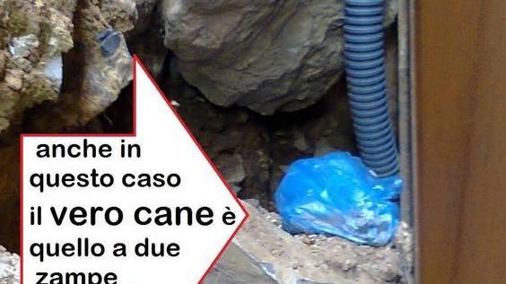 Al giardino Dompé un sacco con escrementi