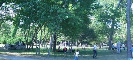 Via libera ai finanziamenti per l’ex colonia Ugo Pisa 