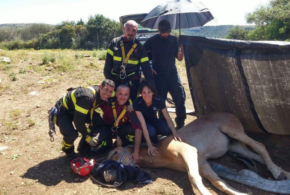 Il cavallo Wally cade in un dirupo, salvato dai vigili