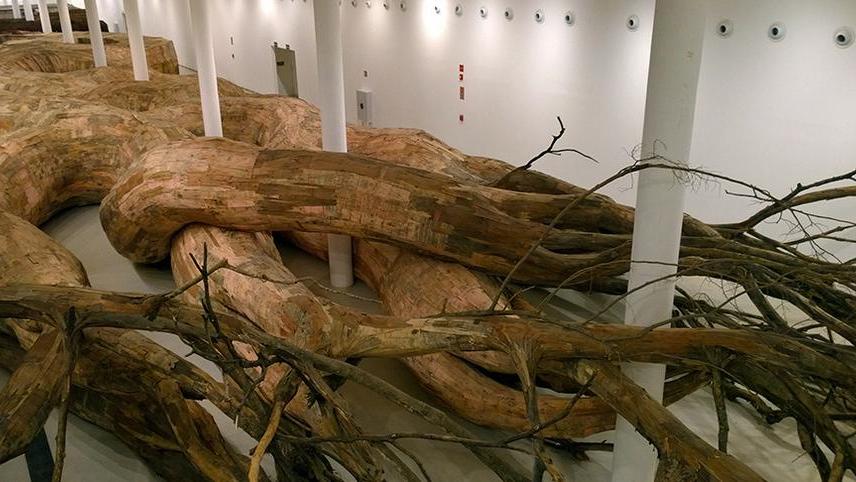 L’arte affonda le radici nel Cambriano