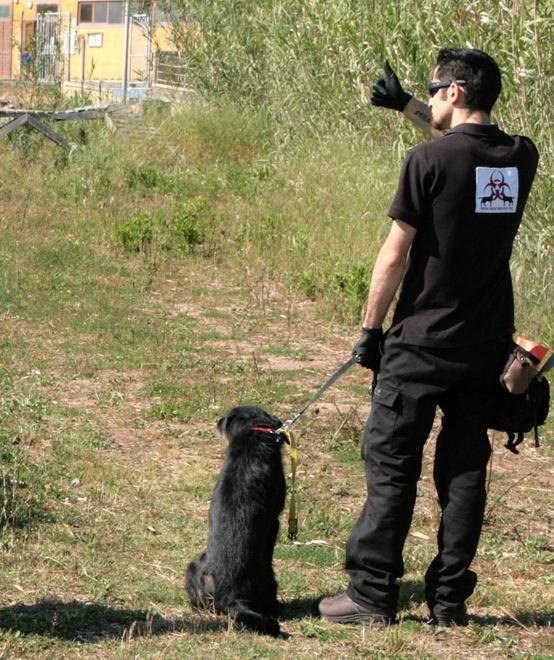 Ricerca di persone scomparse tre giorni di esercitazioni