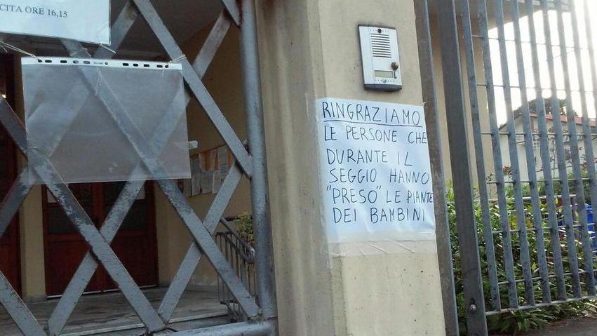 I bimbi coltivano piantine per la festa della mamma, i ladri le rubano