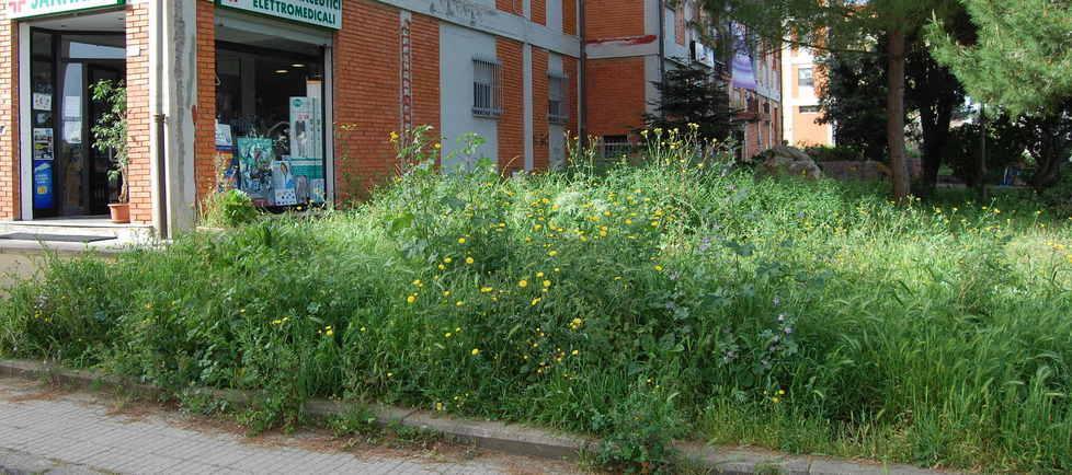 Erbacce e rifiuti al Villaggio Satellite