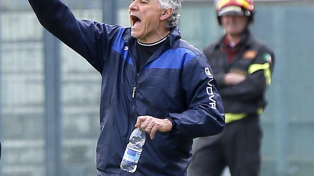 Mister Paolo Indiani