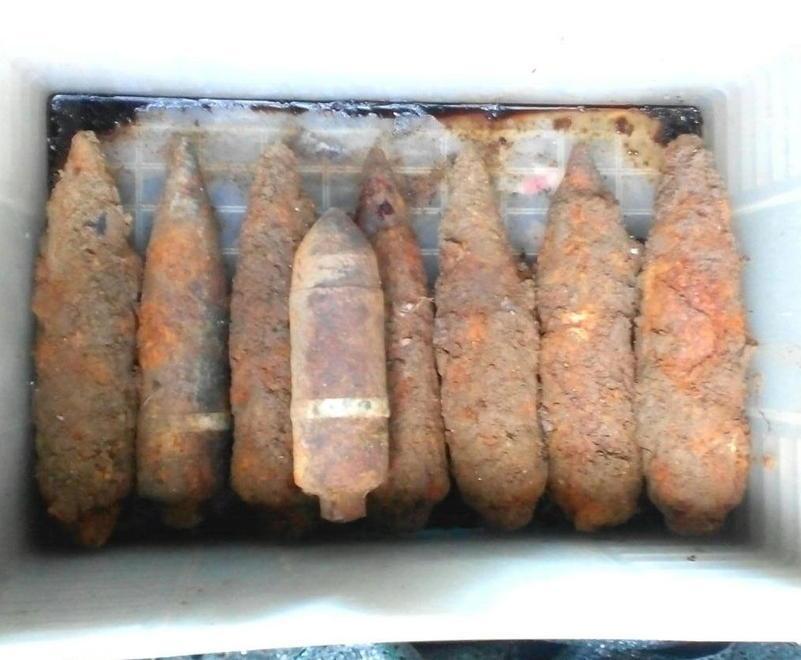 Trova proiettili da cannone mentre scava una fossa 