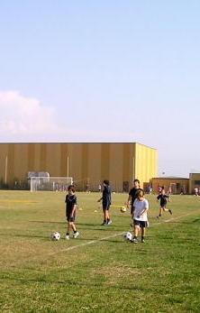 I bimbi del rugby al campo Falchini 