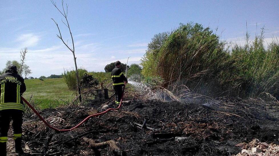 A fuoco sterpaglie lungo il fiume, paura per i passanti