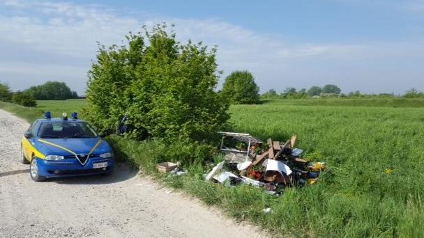 Dopo il furto gettano cassette e piante