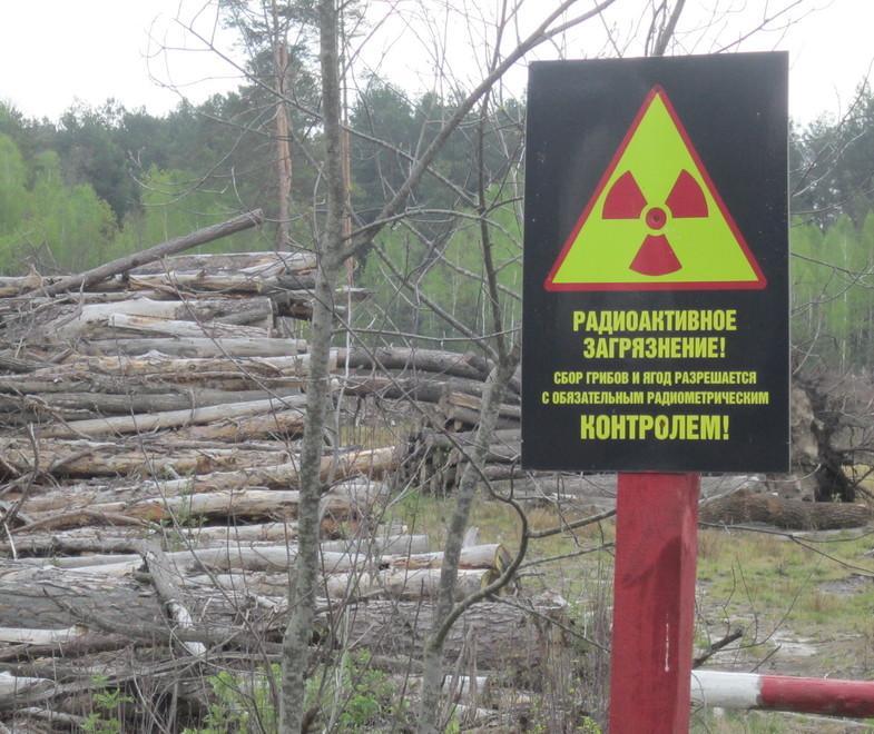 Chernobyl, a Modena tre storie in un reading per non dimenticare 
