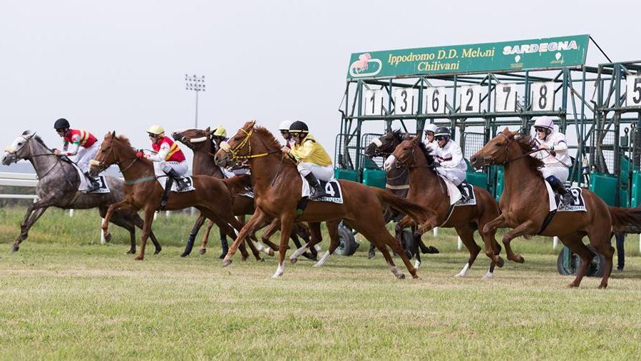 Nasco e il maestrale protagonisti a Chilivani