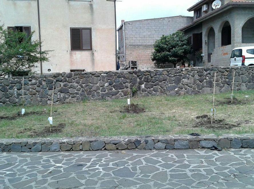 Un albero per ogni neonato, festa nel segno della natura 