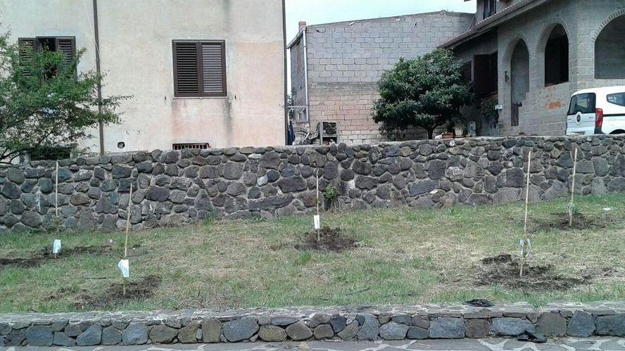 Un albero per ogni neonato, festa nel segno della natura