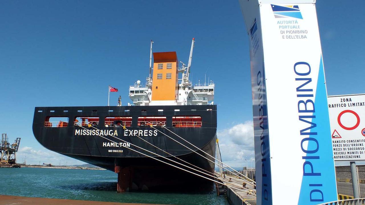 Il “Mississauga Express”, 245 metri, è in porto da domenica (foto Paolo Barlettani)